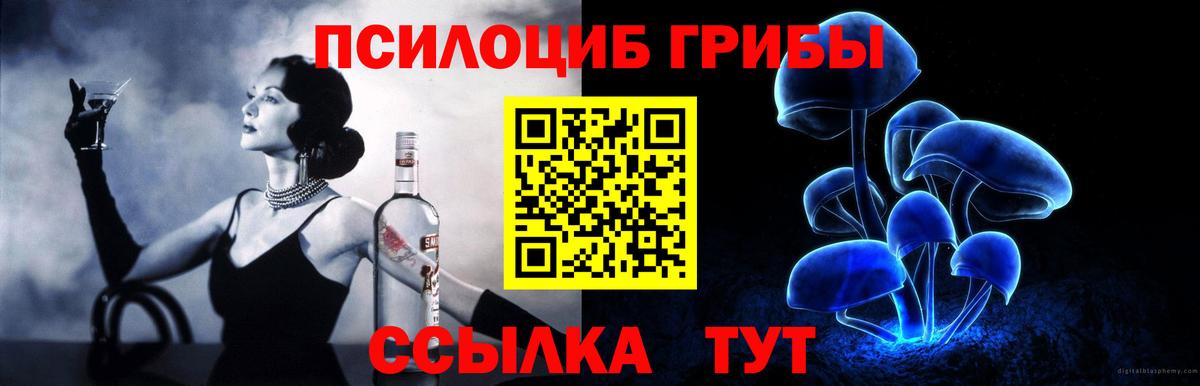 Воскресенск  цена наркотик  Вход с VPN  Псилоцибиновые грибы MAGIC MUSHROOMS 